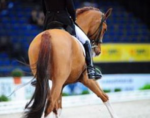 Kirsten Sieber on Charly