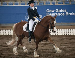 Fern Wright on the Welsh cob Kamber Pryderi :: Photo © Franz Venhaus