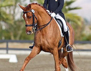 Steffen Peters on Sundance :: Photo © Terri Miller