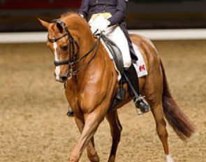 Ashley Holzer and Pop Art at the 2012 CDI Toronto