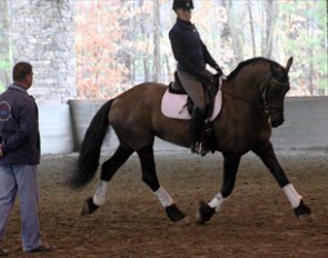 Scott Hassler training Jennifer Dipple Flowers on Zucci Royal at the U.S. Young Horse Training Session in Georgia