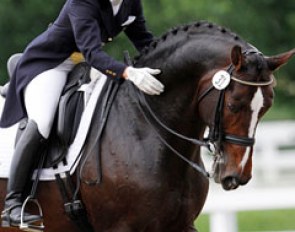 Susanne Hassler on Baroncelli :: Photo © Sue Stickle