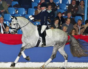 De Martino at a stallion show in Vechta in 2012 :: Photo © Petra Kerschbaum