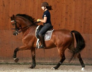 Cathrine Haddad on the 9-year old Danish warmblood gelding Patronus (by Platin x Louis) :: Photo © Dr. Nadine Weisser