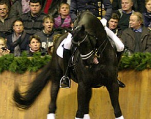 A slip of the tongue at the 2012 Paul Schockemohle Stallion Show :: Photo © Hastmagazinet.se