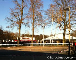 The presentation on hard surface is well-attended and sun filled at the 2012 Oldenburg Stallion Licensing :: Photo © Astrid Appels