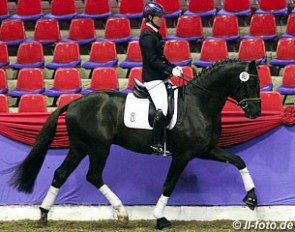Kira Wulferding on licensing champion Furstenstein (by Furst Romancier x Hohenstein) :: Photo © LL-foto.de