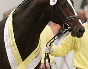 Coal Diamond (by Christ x Don Schufro)