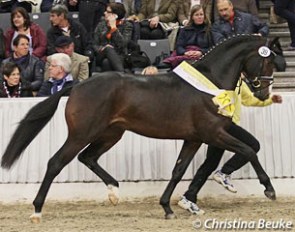 Furstenhof (by Furst Grandios x Weltmeyer)