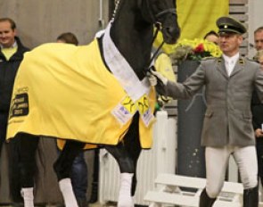 Don Frederico with his rider Ole Kohler at the 2012 Hanoverian Stallion of the Year Ceremony :: Photo © Christina Beuke