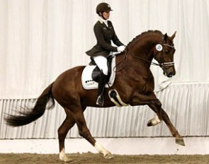 Jessica Michel and Don Juan de Hus at the 2012 Hanoverian Late Licensing :: Photo © Philipp von Thaden