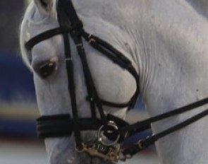 Interesting bridle on Soberano III