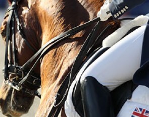 Dressage in the beautiful Vidauban sunlight