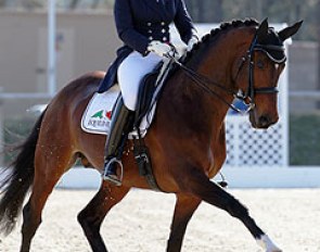 Bernadette Brune on the Trakehner licensed stallion Kasimir TSF