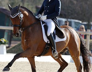 Belgian Jef Coenegrachts on the Danish warmblood Vemmetofte Comme Il Faut (by Come Back II)