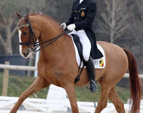 Belgian Ronny Coenraerds on the Belgian warmblood gelding Calypso van het Goorhof (by Camus)