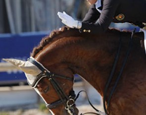 This is how we like to see it: big smile at the end of the ride and generous patting of the horse!! Julie de Deken on Fazzino