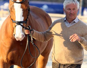 Trainer Ton de Ridder presenting Hiroshi Hoketsu's Whisper at the vet check