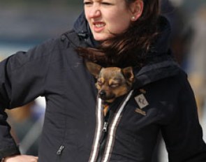Dog using owner and her coat as windbreaker