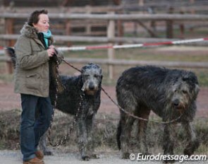 Taking the dogs (?!!) out for a walk