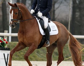 Michael Eilberg and Woodlander Farouche at the 2012 CDI Vidauban :: Photo © Astrid Appels