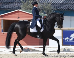 Claudia Fassaert and Donnerfee at the 2012 CDI Vidauban :: Photo © Astrid Appels