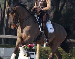 British European Championship team gold medallist Emile Faurie schooling Joanna Vaughan's Elmegardens Marquis