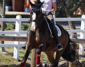 Beatriz Ferrer-Salat training Sir Radjah at the 2012 CDI Vidauban