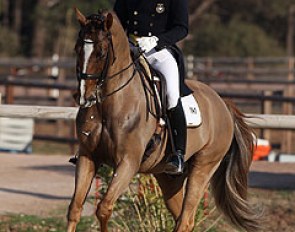 Mads Hendeliowitz on Son of Chex