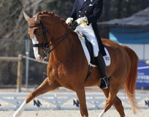 Hoketsu and Whisper at the 2012 CDI Vidauban :: Photo © Astrid Appels