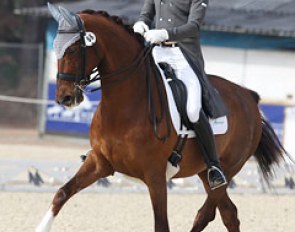 British Gareth Hughes on the Danish warmblood mare Stenkjers Nadonna (by Donnerschlag)