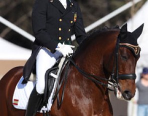 Spanish Juan Antonio Jimenez with the Lusitano Raio