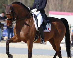 Jessica Michel and Riwera de Hus at the 2012 CDI Vidauban :: Photo © Astrid Appels