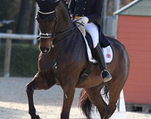 Sarah Millis on the Australian bred HP Frontier