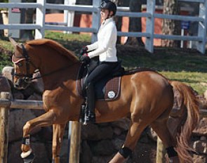 French Under 25 rider Julie Pellerin on her Grand Prix level trained Trakehner Hinnerk TSF. Pellerin recently switched trainers and is now working with Ton de Ridder