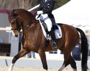 Irish Judy Reynolds on Remember