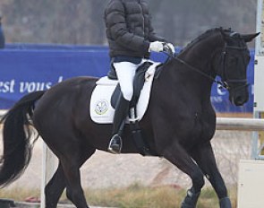 Juan Antonio Vazquez warming up the 6-year old Hanoverian Havanna (by His Highness) in the morning mist