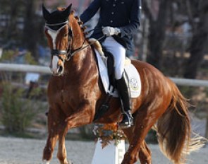 Juan Antonio Vazquez on the 5-year old Hanoverian Wall Street JV (by Wie Weltmeyer)