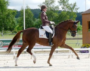 Alizee Roussel on Don Amour de Hus