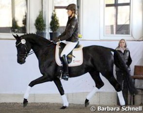 CSW co-organizer Susanne Miesner coaching Carina Bachmann on auction horse Lollypop :: Photo © Barbara Schnell