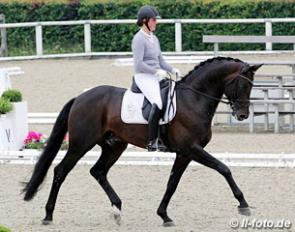 Laura Hassler and Rosengold at the 2012 German WCYH Seletion Trial in Warendorf :: Photo © LL-foto