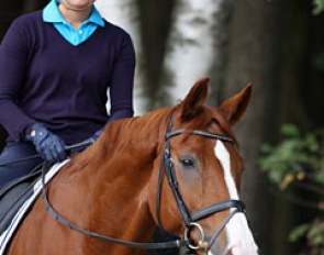 Rider and horse having fun