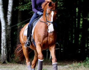 Some cantering in the woods