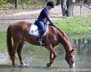 Sniffing the water