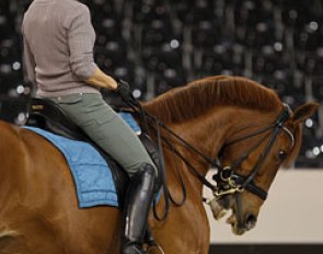 The session in the main arena included some flexion of the neck