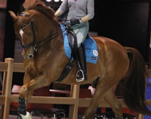 The training session concluded with more relaxed cantering in another warm up ring (Den Bosch has three warm up arenas)