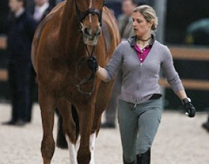 Parzival was untacked and in a snaffle bridle he was "test-jogged" before going to the re-inspection