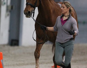 Adelinde Cornelissen and Parzival at the re-inspection :: Photo © Astrid Appels