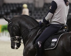 Edward Gal on Undercover (by Ferro x Donnerhall)
