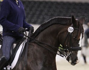 American Shawna Harding on the Hanoverian Rigo